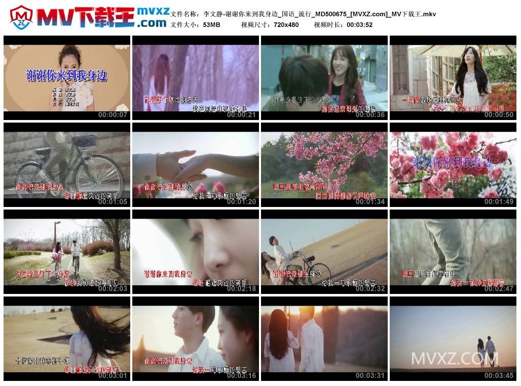 李文静-谢谢你来到我身边_国语_流行_MD500675